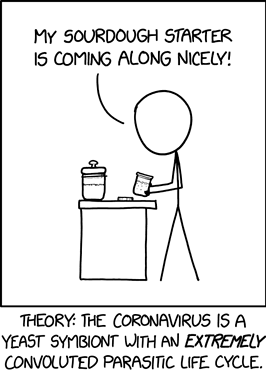 sourdough_starter_2x