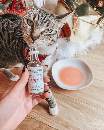 17744266546563816694810617238679