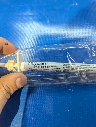 PXL_20250713_000744257